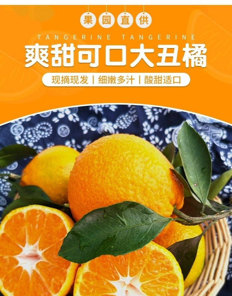 【正宗丑桔】现摘四川丑桔应当季新鲜水果2/5/10斤耙耙丑桔橘柑子