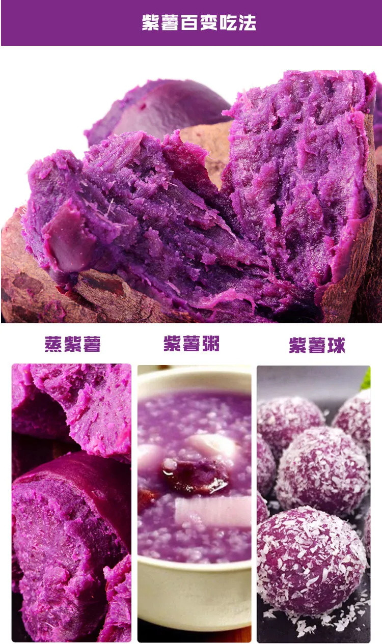 【只卖新鲜好吃紫薯】山东紫薯9斤沂蒙山紫薯新鲜番薯5斤红薯蜜薯地瓜现挖