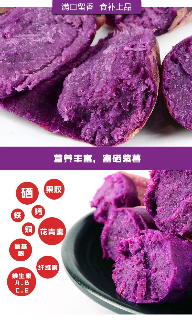 【只卖新鲜好吃紫薯】山东紫薯9斤沂蒙山紫薯新鲜番薯5斤红薯蜜薯地瓜现挖