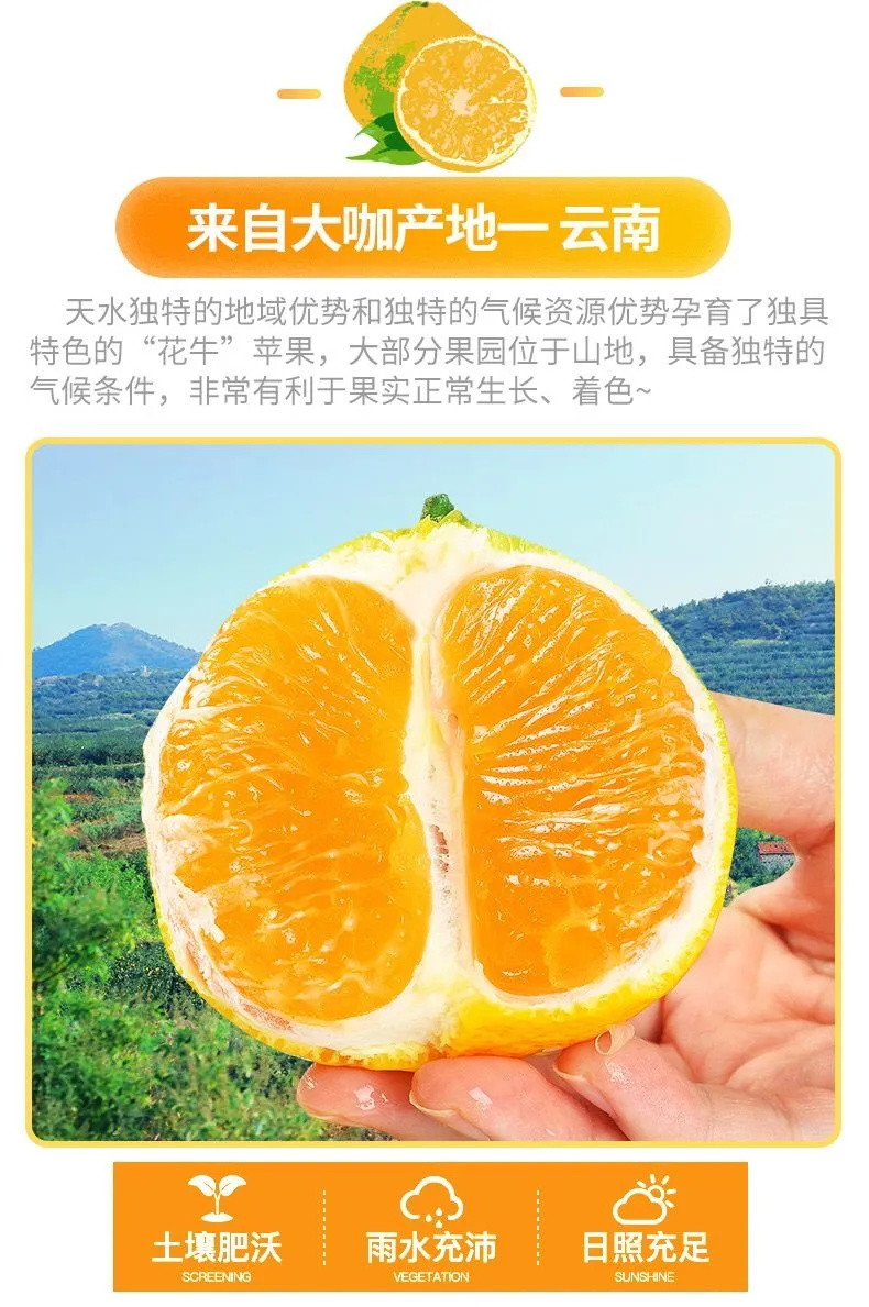 【亏本冲量】丑桔不知火云南高原橘子丑桔丑橘新鲜水果5斤包邮丑八怪桔子