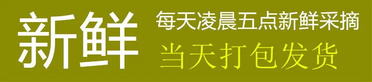 超甜超脆【四川李子-现摘现发-果园直供】汶川脆红李四川甜李子脱骨李青红脆李现摘新鲜水果1-5斤包邮脆