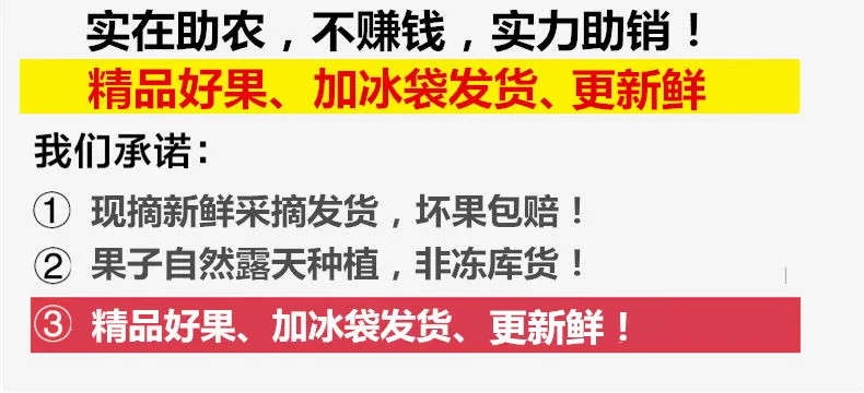 【顺丰包邮】圣女果小西红柿新鲜樱桃小番茄蔬菜当季现摘新鲜水果