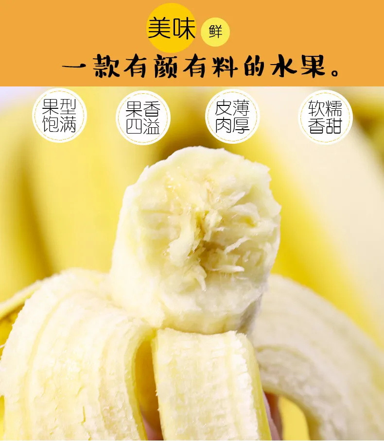 【倒贴求带走】云南自然熟香蕉水果新鲜当季批发5斤/10斤大香焦非广西小米蕉芭蕉
