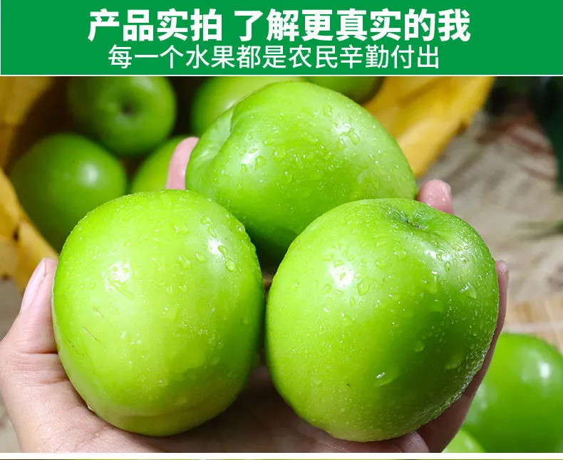 【甩同行10条街价格】云南牛奶青枣2/3/5斤脆枣脆甜枣薄皮新鲜水果孕妇当季整箱现摘