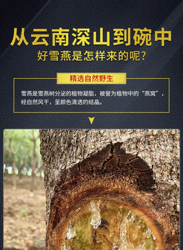 每天一碗-美丽不会老-亏本冲量-食用半年养颜 植物燕窝 特级雪燕桃胶皂角米天然野生