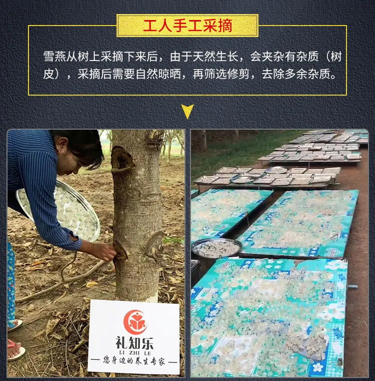 每天一碗-美丽不会老-亏本冲量-食用半年养颜 植物燕窝 特级雪燕桃胶皂角米天然野生