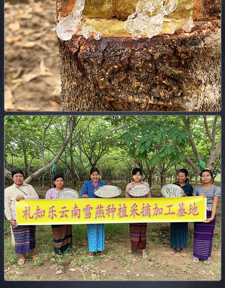 每天一碗-美丽不会老-亏本冲量-食用半年养颜 植物燕窝 特级雪燕桃胶皂角米天然野生