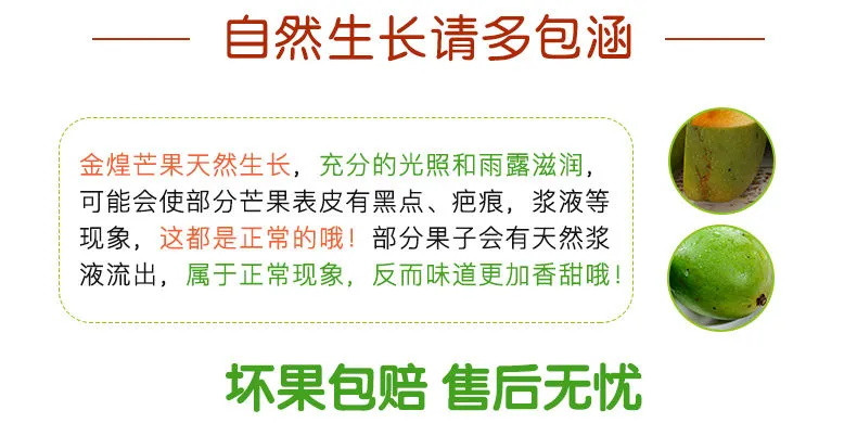 【高品质-超好吃】正宗金煌芒果水果新鲜现摘大芒果当季水果包邮多规格整箱批发