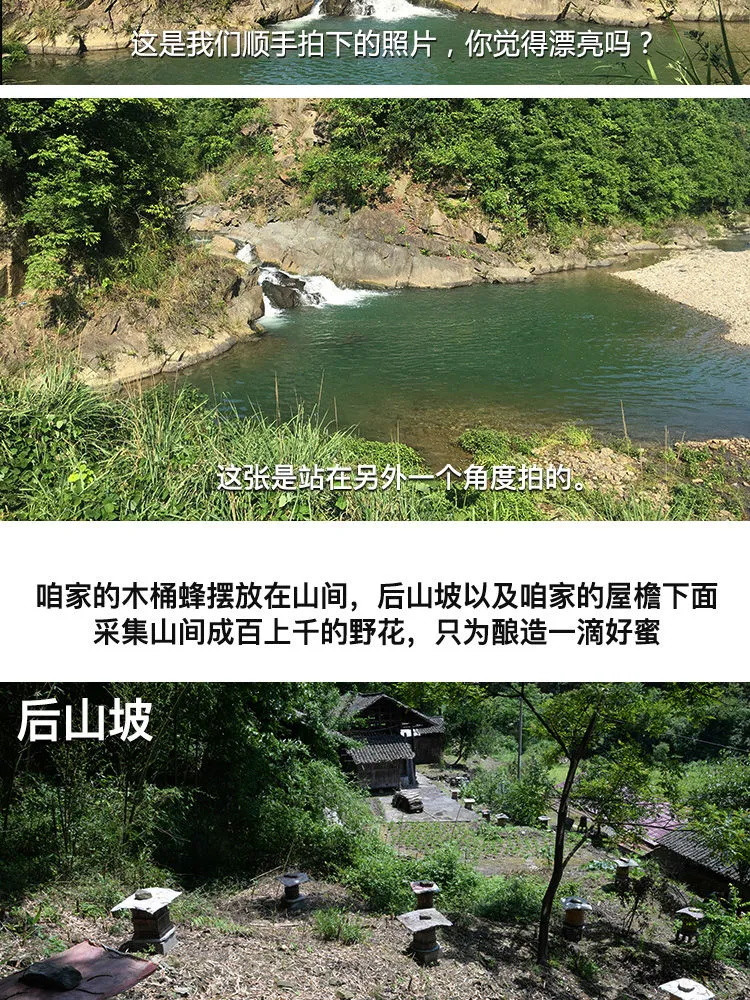 【买1送1】深山木桶蜜野生土蜂蜜正品传统农家.自产纯正天然蜂蜜