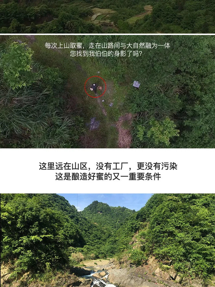 【买1送1】深山木桶蜜野生土蜂蜜正品传统农家.自产纯正天然蜂蜜