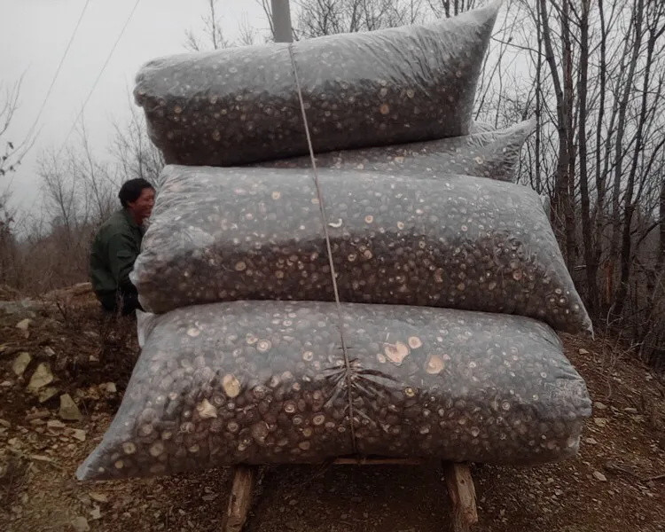 【新货】香菇干货特产干香菇100g新货野生蘑菇冬菇无根土特产山货散装包邮