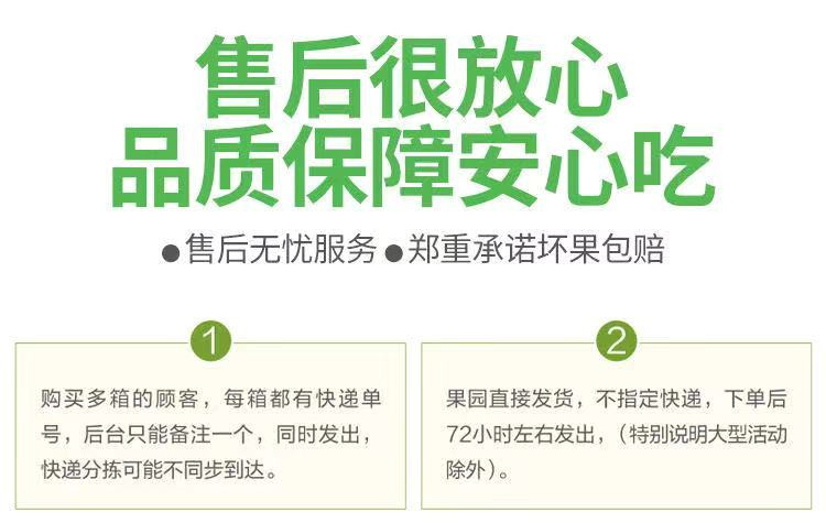 【粉面香甜】黄元帅苹果水果黄香蕉平果奶油金帅金冠萍果新鲜采摘