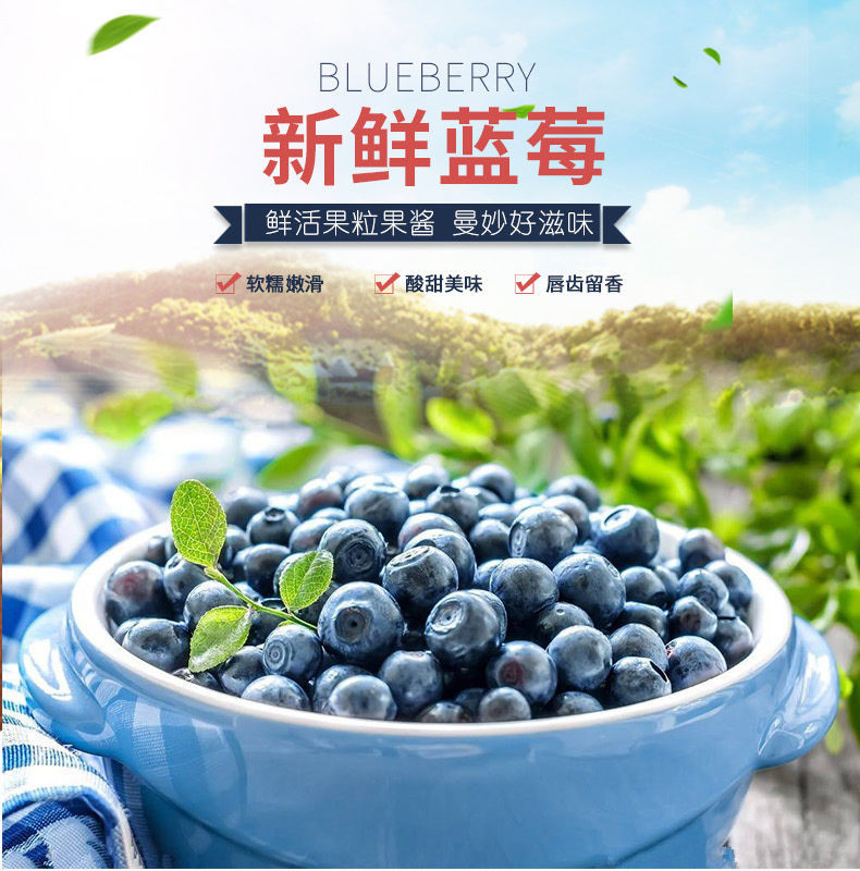 【买一送一】当季野生蓝莓鲜果8/6/4/2盒 应季孕妇新鲜水果小蓝梅