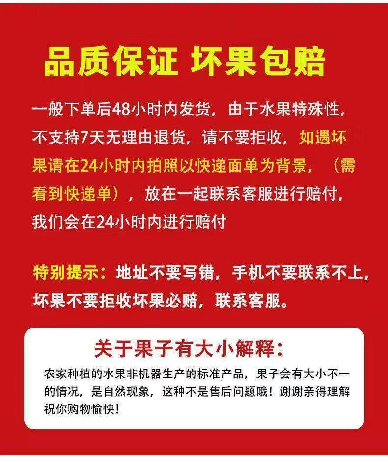 【小编极力推荐】保证新鲜好吃-请放心购买-冰糖枣子新鲜当季时令水果甜脆青枣孕妇大枣包邮