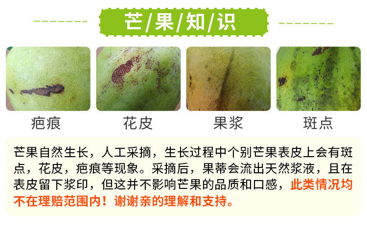 越南大青芒果新鲜金煌青芒果应季甜心芒果水果批发非凯特芒小台芒