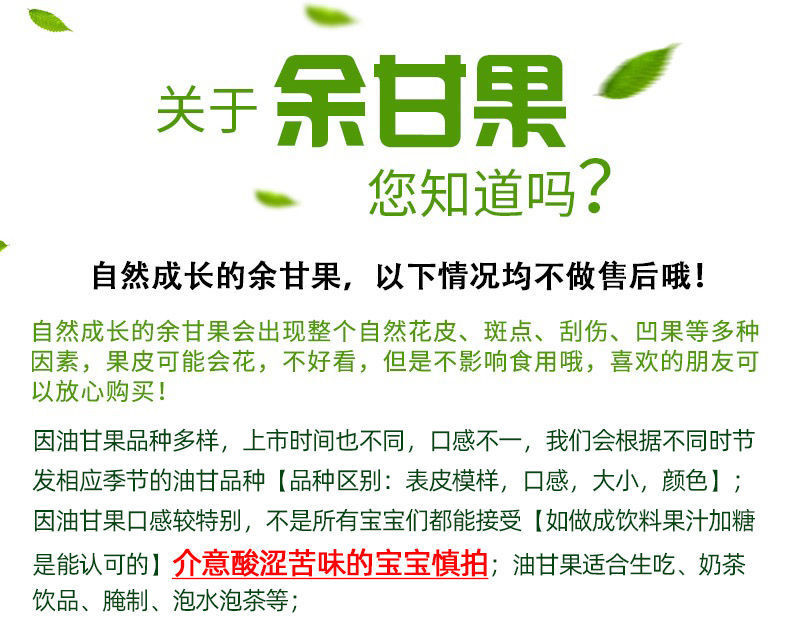 【顺丰包邮】汕头油甘果新鲜当季野生余甘果奶茶店用牛甘子孕妇酸水果顺丰包邮