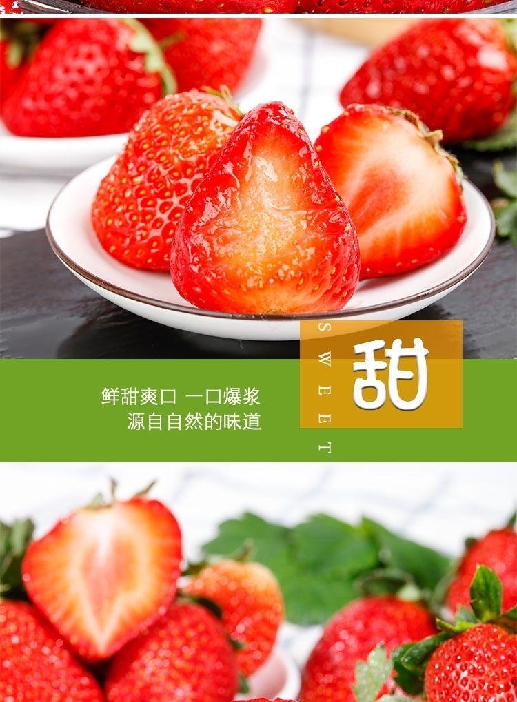 【生鲜特快】奶油草莓新鲜冬牛奶草莓甜草莓应季水果现摘现发江苏
