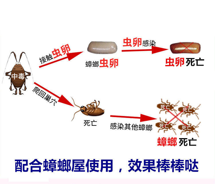 【强力灭蟑-安全有效】蟑螂药家用无毒灭蟑清强力厨房大小通杀强效全窝端室内饭店一窝端