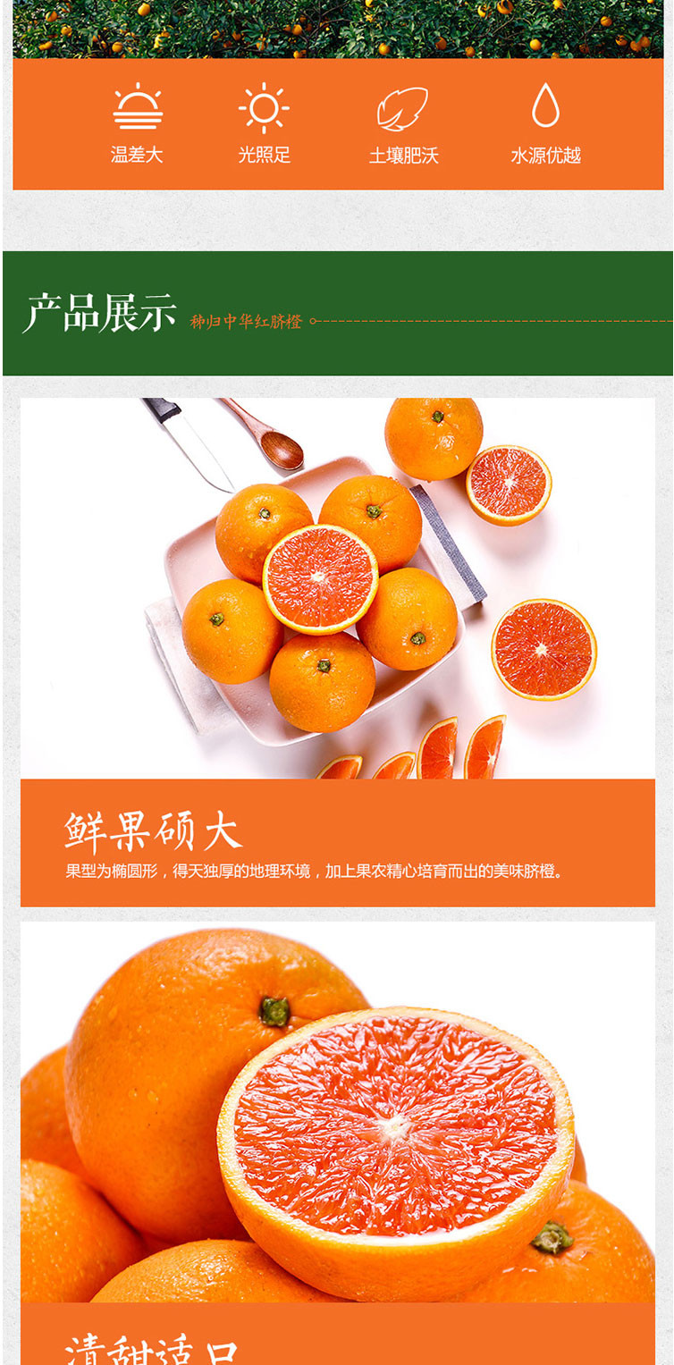 血橙新鲜水果5斤秭归橙子脐橙当季红肉橙手剥橙甜橙应季整箱批发
