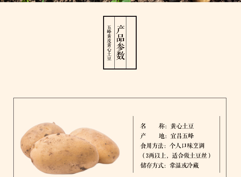 土豆新鲜小土豆5斤农家自种蔬菜云南红皮黄心土豆批发马铃薯洋芋