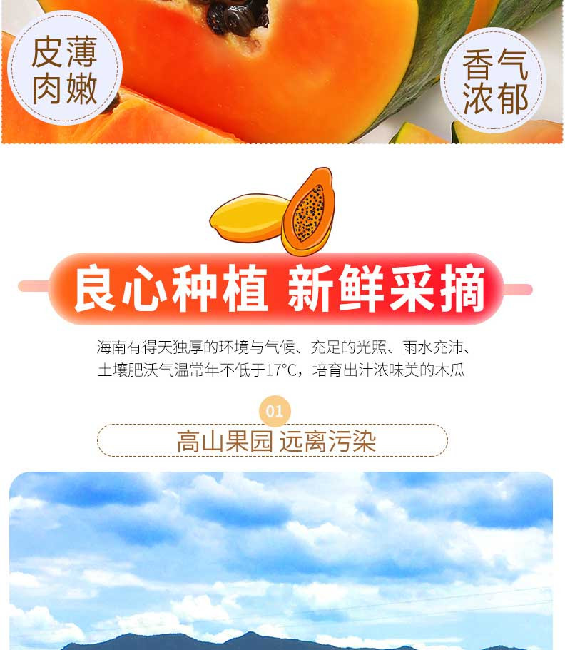 海南红心牛奶木瓜10斤整箱青木瓜大新鲜水果当季包邮批发