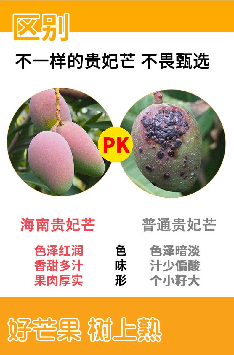 海南芒果贵妃芒5斤新鲜水果现摘当季整箱包邮爱心助农小台农芒