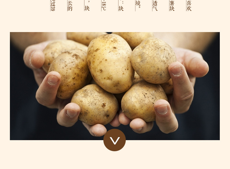 土豆新鲜小土豆5斤农家自种蔬菜云南红皮黄心土豆批发马铃薯洋芋