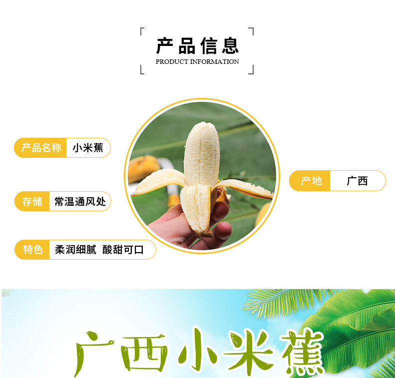 【48小时发货】甜香蕉大香蕉带箱10斤新鲜水果应季批发包邮非芭蕉小米蕉