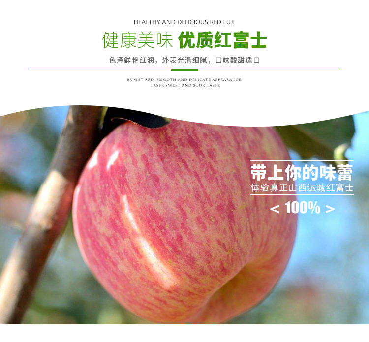【23.8五斤】新鲜苹果甜脆水分足栖霞红富士苹果 果园现摘先发【博莱生活馆】