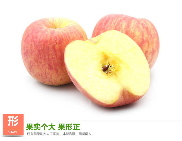 【23.8五斤】新鲜苹果甜脆水分足栖霞红富士苹果 果园现摘先发【博莱生活馆】
