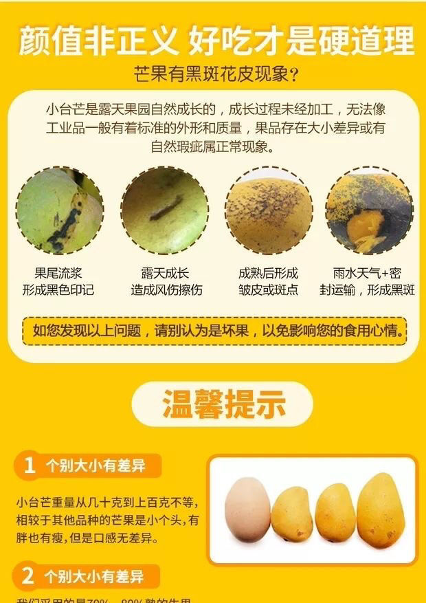 芒果小台芒10斤新鲜水果台农芒果应季小芒果整箱批发【博莱生活馆】