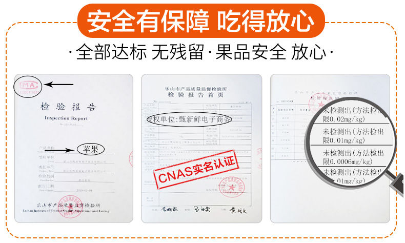 甘肃花牛苹果蛇果圣诞果平安果礼县粉面苹果3/5/10斤新鲜水果包邮【博莱生活馆】