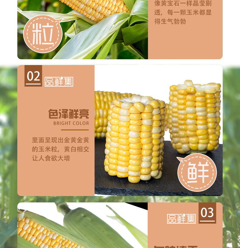 【爱心助农】玉米甜玉米3/5/10斤200-400g起新鲜蔬菜【博莱生活馆】