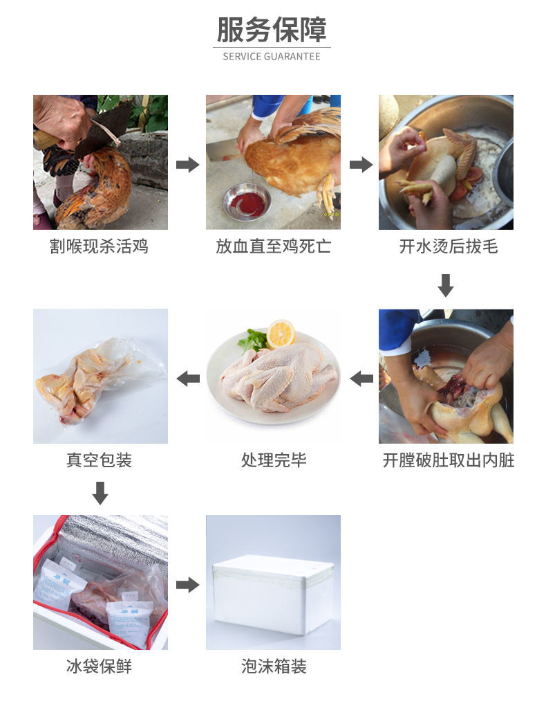 正宗2年老母鸡散养土鸡柴鸡草鸡月子鸡笨鸡走地鸡【净重2.5-3斤】博莱农场