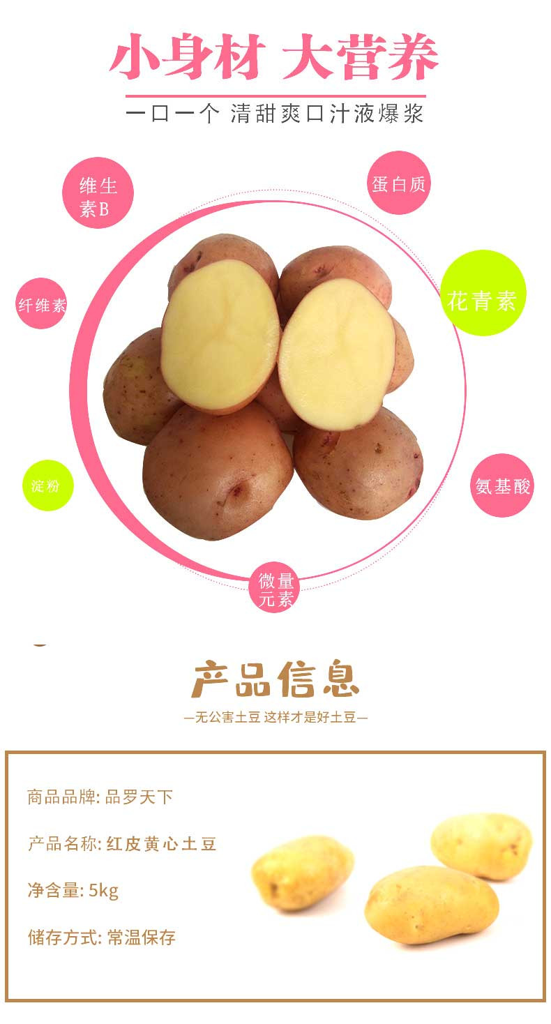 【48小时发货】8斤云南红皮黄心土豆  新鲜直达