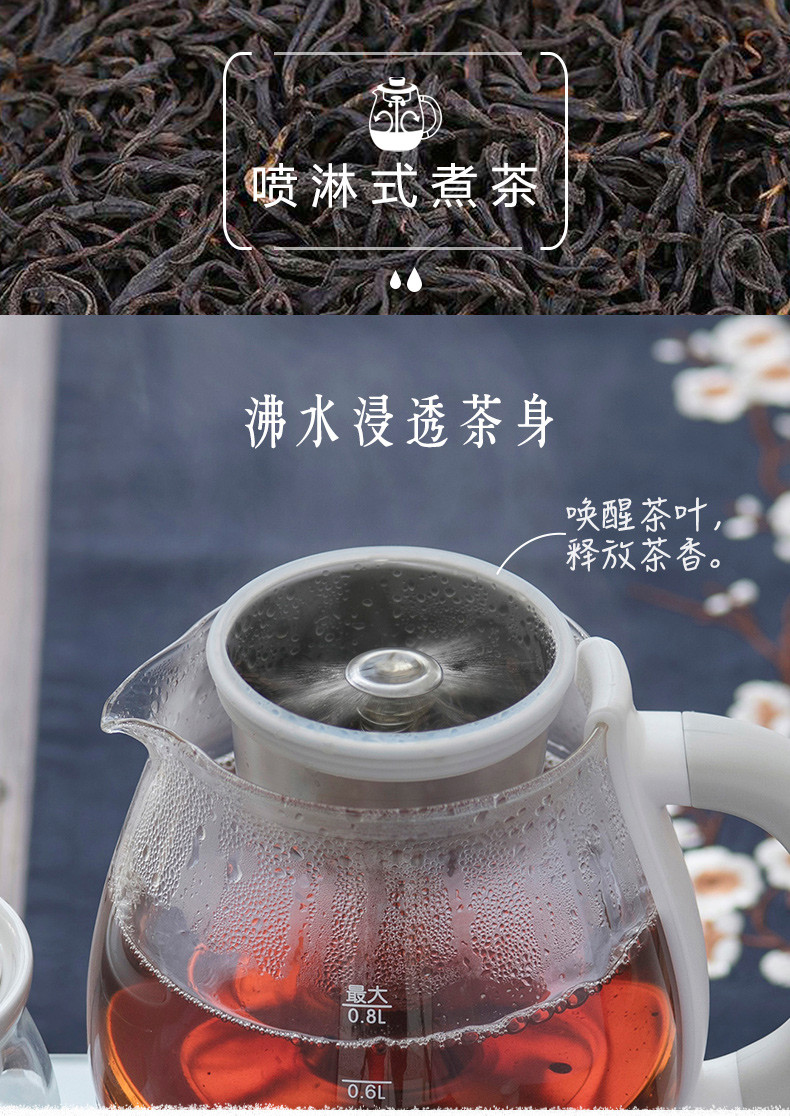 小熊（Bear）煮茶器煮茶壶 0.8L蒸汽喷淋式蒸茶壶养生壶304不锈钢烧水壶黑茶ZCQ-A08E1