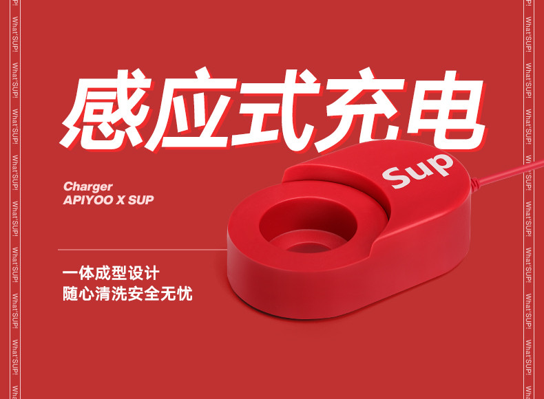 艾优/apiyoo SUP成人声波电动充电式全自动牙刷