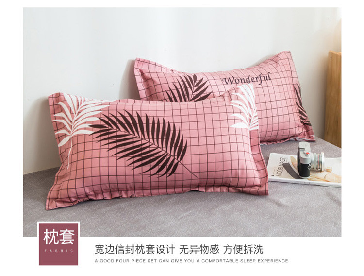 鸿绪 网红款芦荟棉磨毛四件套床单被套1.8m床上用品200x230床被子宿舍套件
