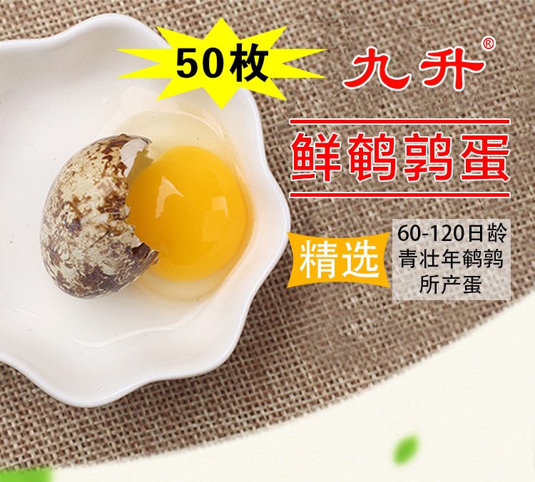 【领券立减】九升50枚装鲜鹌鹑蛋 宝宝营养辅食健康蛋品