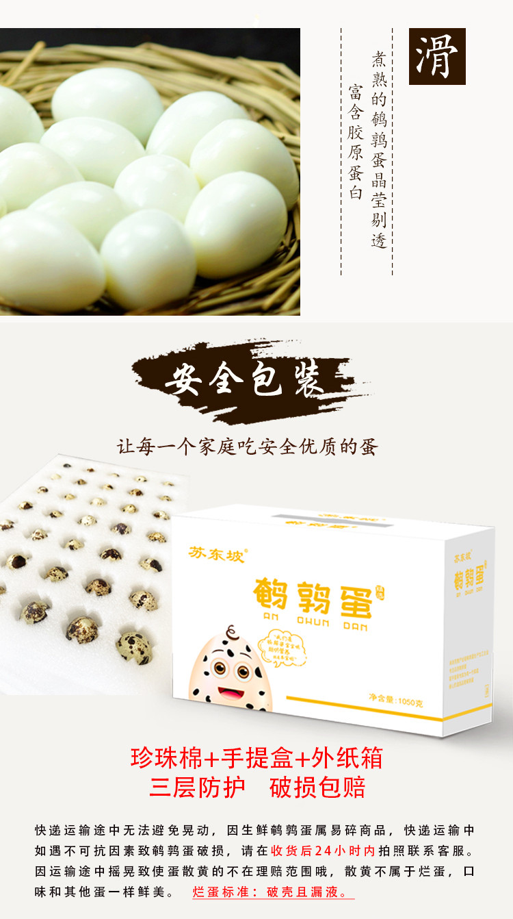 【富硒鹌鹑蛋】100枚+赠5枚 苏东坡高品质健康鲜鹌鹑蛋