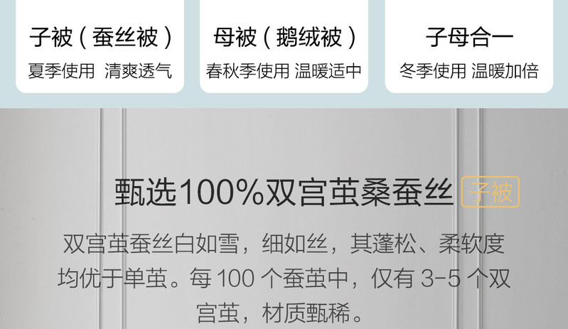 雅棉 蚕丝鹅绒子母被