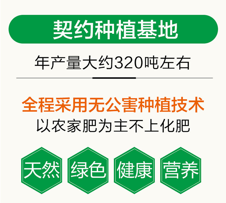 新货兰州鲜百合兰州百合农家兰州百合纯天然兰州百合食用甜百合