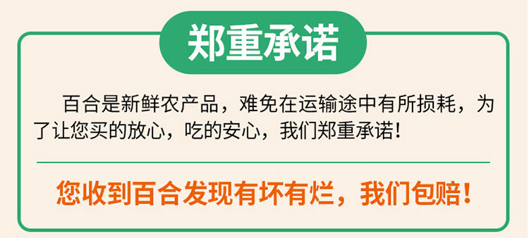 新货兰州鲜百合兰州百合农家兰州百合纯天然兰州百合食用甜百合