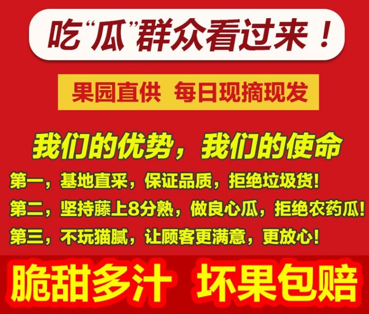 【现货现摘现发 坏果包赔】2020年陕西阎良甜瓜10斤头茬新鲜水果香瓜香甜多汁5斤现摘非绿宝羊角蜜瓜