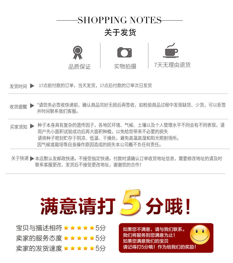 凤梨红心水果萝卜种子满堂红心里美萝卜种子春秋夏季四季播蔬菜籽