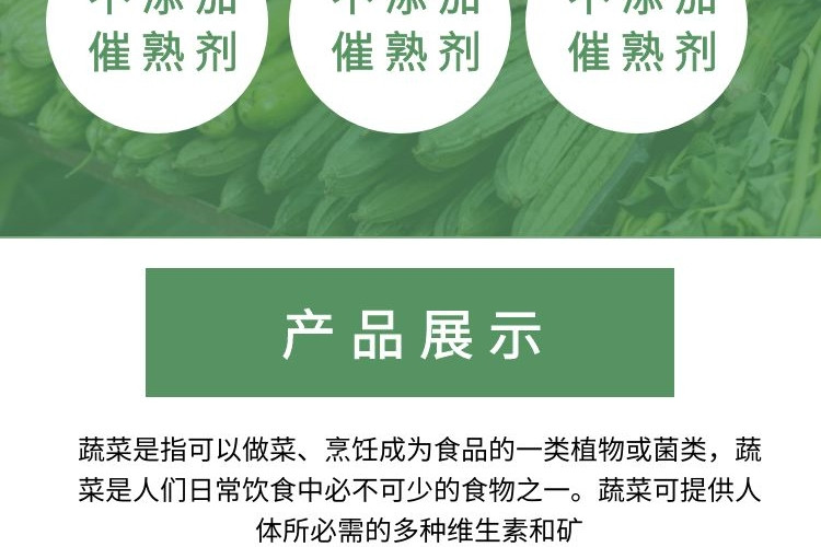 【槐荫邮选】时令蔬菜套装组合（含大葱） 9kg/盒 百脉泉