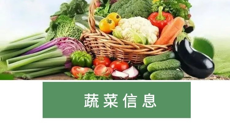 【槐荫邮选】时令蔬菜套装组合（含大葱） 9kg/盒 百脉泉