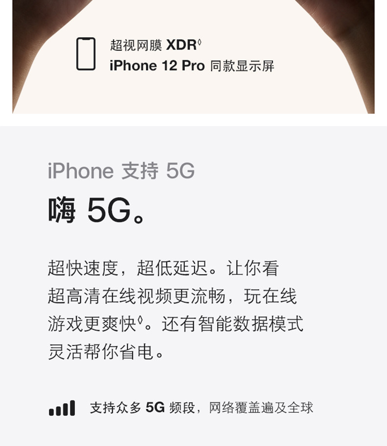 苹果/APPLE  iPhone 12 全网通5G手机 双卡双待 256GB