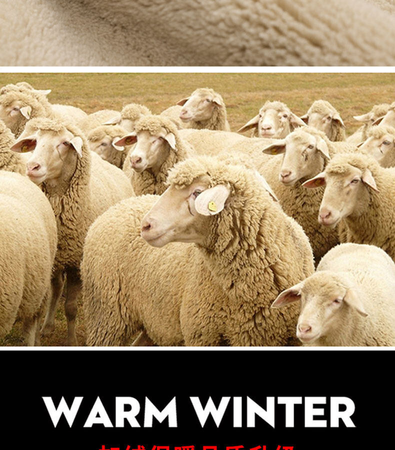 卓纪 中年男式休闲运动套装棉冬季加绒加厚羊羔绒保暖大码爸爸装两件套