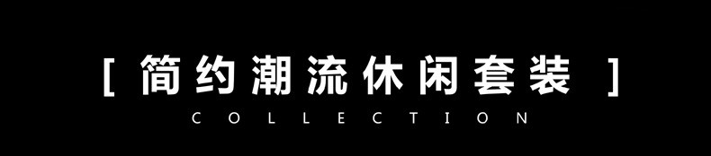 卓纪 2024男士秋季新款运动休闲套装开衫卫衣印花青年套装宽松两件